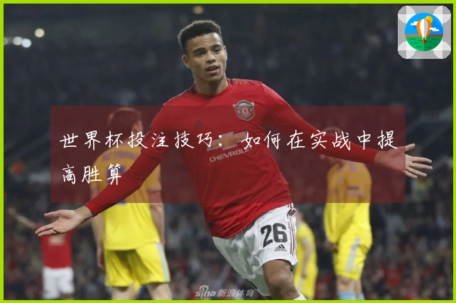 世界杯投注技巧:如何在实战中提高胜算