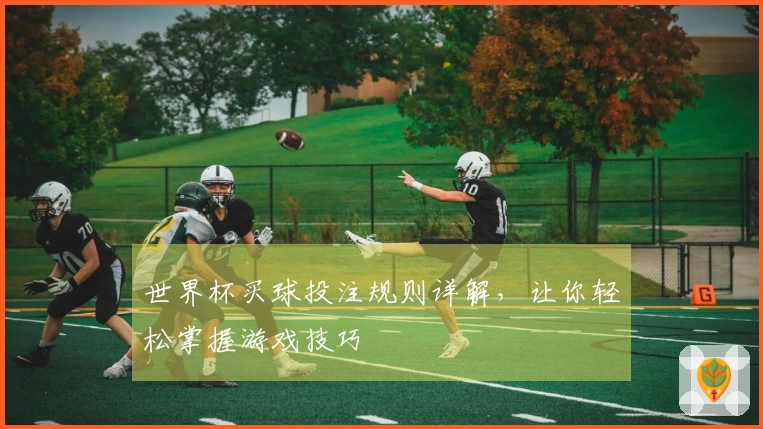 世界杯买球投注规则详解，让你轻松掌握游戏技巧