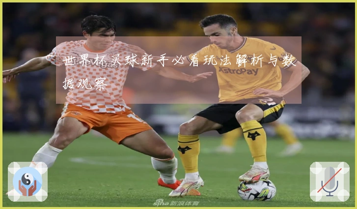 世界杯买球新手必看玩法解析与数据观察