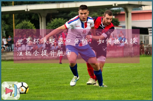 世界杯滚球盘口分析：如何抓住投注机会提升胜率