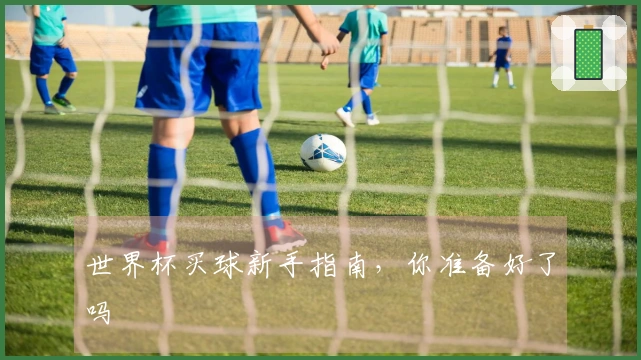 世界杯买球新手指南，你准备好了吗