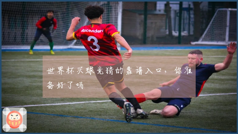世界杯买球竞猜的靠谱入口，你准备好了吗