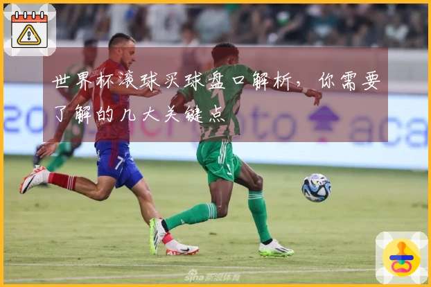 世界杯滚球买球盘口解析，你需要了解的几大关键点