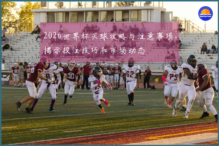 2026世界杯买球攻略与注意事项，揭示投注技巧和市场动态