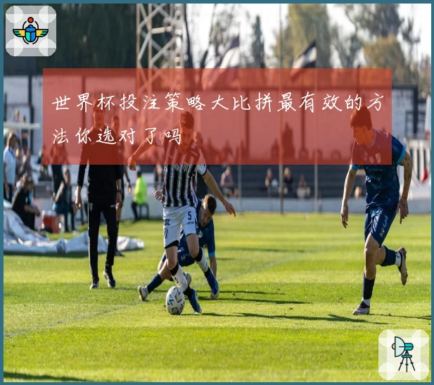 世界杯投注策略大比拼最有效的方法你选对了吗