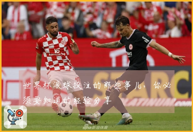 世界杯滚球投注的那些事儿，你必须要知道的经验分享