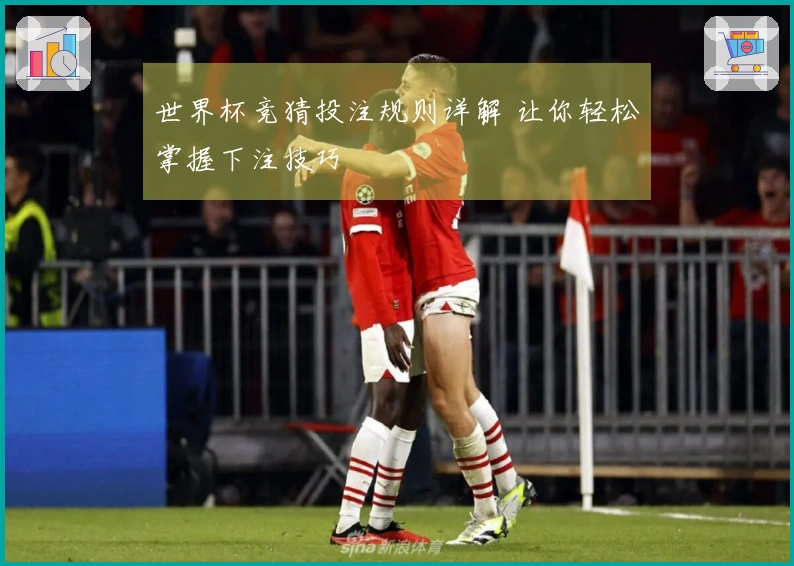 世界杯竞猜投注规则详解 让你轻松掌握下注技巧
